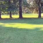 Апартаменты Fronte Del Golf