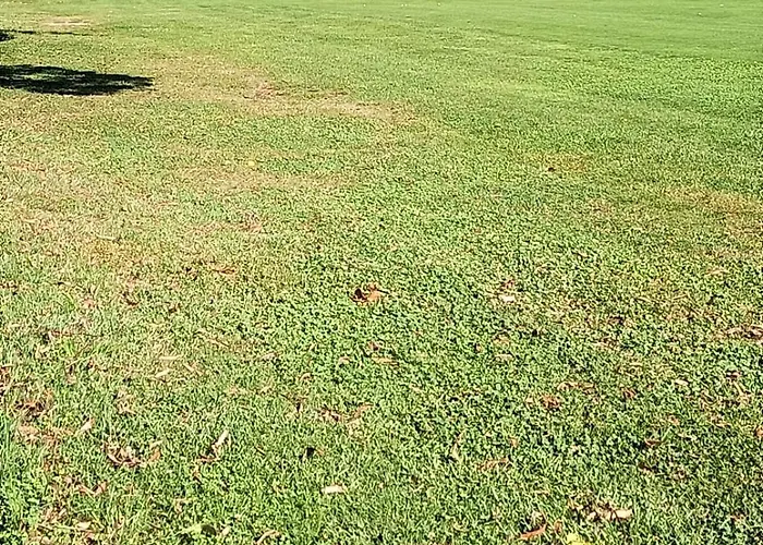 아파트 Fronte Del Golf 라팔로