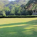 Fronte Del Golf *