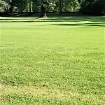 Fronte Del Golf Lejlighed Rapallo