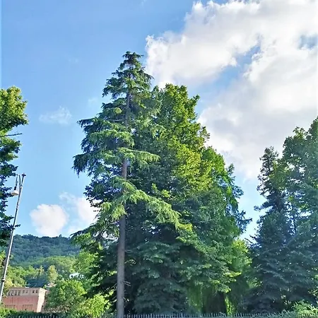 アパート Fronte Del Golf ラッパロ