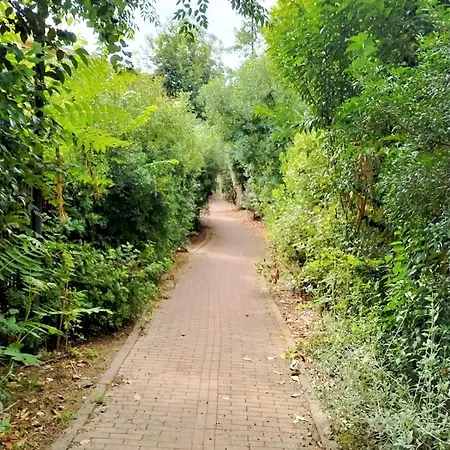 Fronte Del Golf * ラッパロ