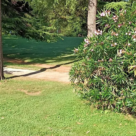 Apartman Fronte Del Golf