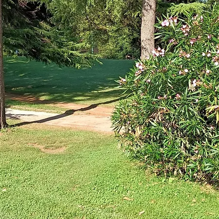 Апартаменты Fronte Del Golf