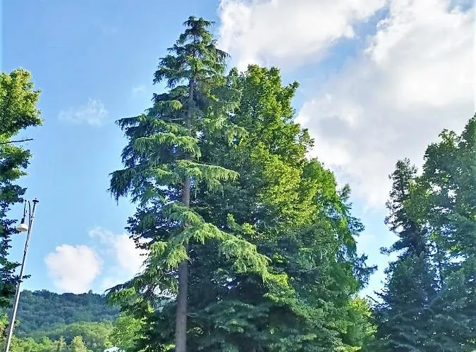 Lägenhet Fronte Del Golf Rapallo